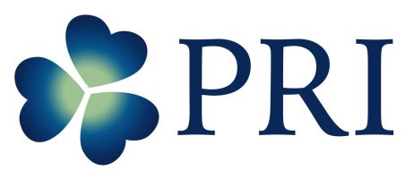 Past Reality Integration Website